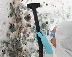 Best Mold Odor Removal Services  in Sun Village, CA